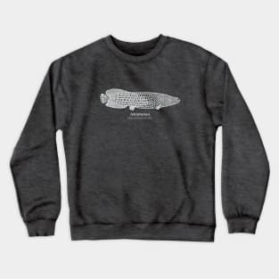 Arapaima with Common and Scientific Names - fish design for fisherman Crewneck Sweatshirt